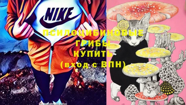 мет Нягань